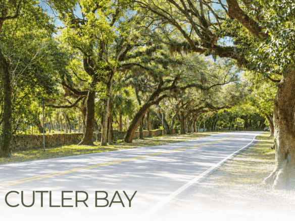 Cutler Bay real estate guide: oak canopy road, South Florida