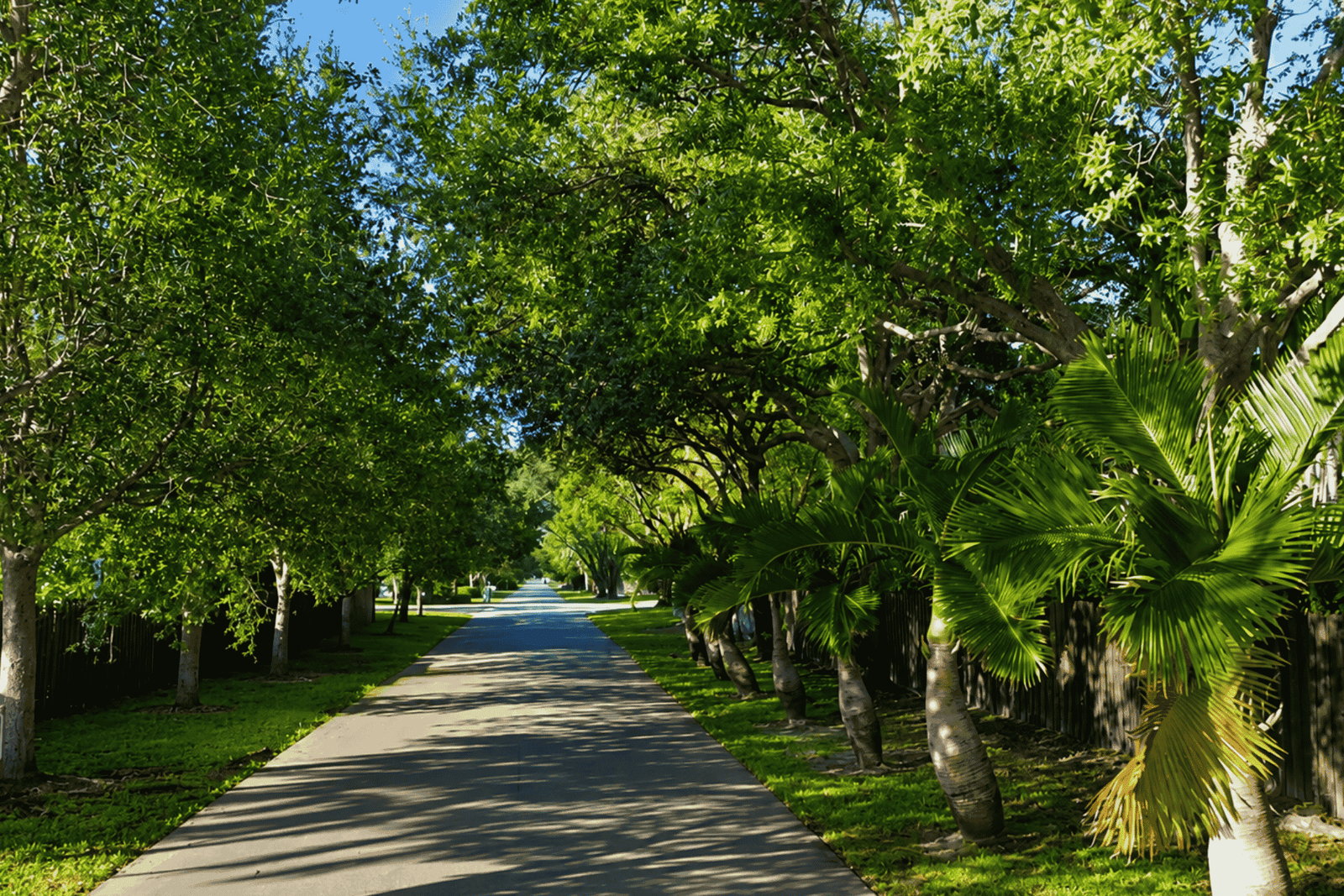 Cutler Bay home value: tree-canopied residential street, South Florida 2026