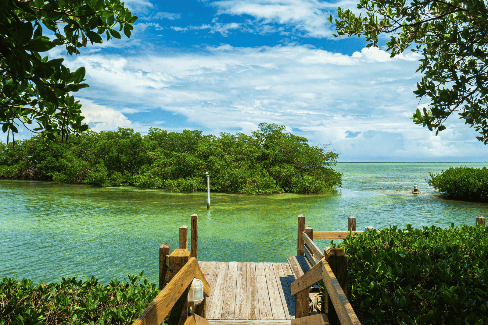 Cutler Bay home value: waterfront dock and mangroves, Biscayne Bay access